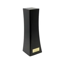 DS Audio ION-001 Vinyl Ionizer Black