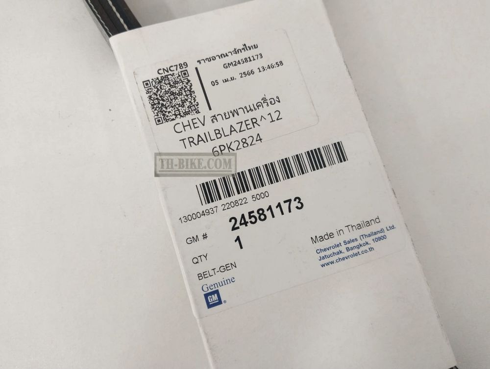 GM 24581173. BELT