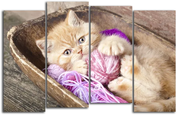 Модульная картина "Котенок и клубок"