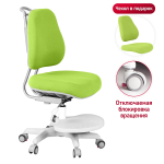 Эргономичное кресло Anatomica Ragenta с подставкой для ног