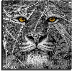 Постер "Lion city"