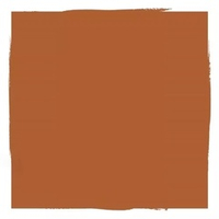 Пигмент Perma Blend Pumpkin, 1мл.