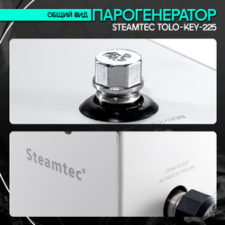 Steamtec TOLO KEY 225 - 22,5 кВт (ВЛАГОСТОЙКИЙ модуль управления), парогенератор для хамама и турецкой бани