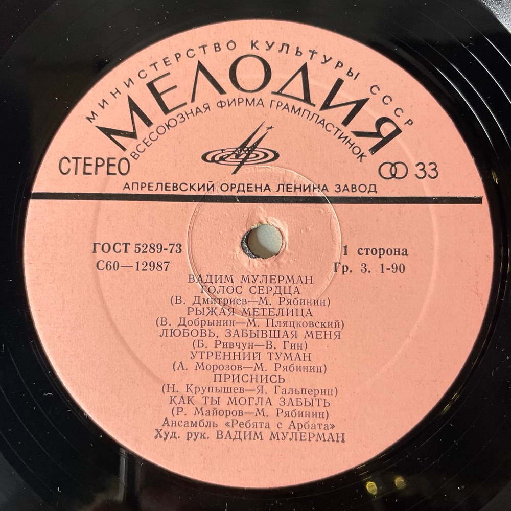 Винтажная виниловая пластинка LP Вадим Мулерман Камушки (СССР 1980)