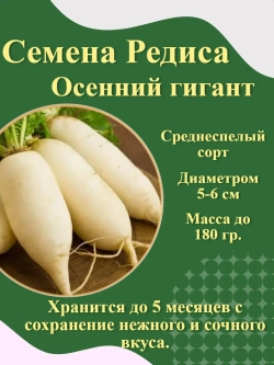 Семена Редиса белый