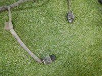 DSCN5228.jpg