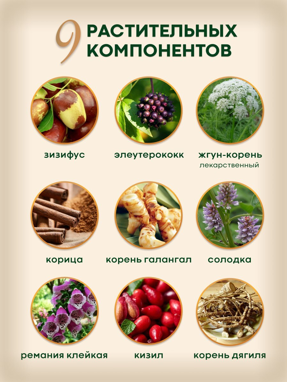 Женьшень экстракт 6-летнего красного корня с пантами оленя