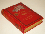"Бездна мысли. Поэтический ежедневник А.Михневича". А.П.Михневич. 1891г.