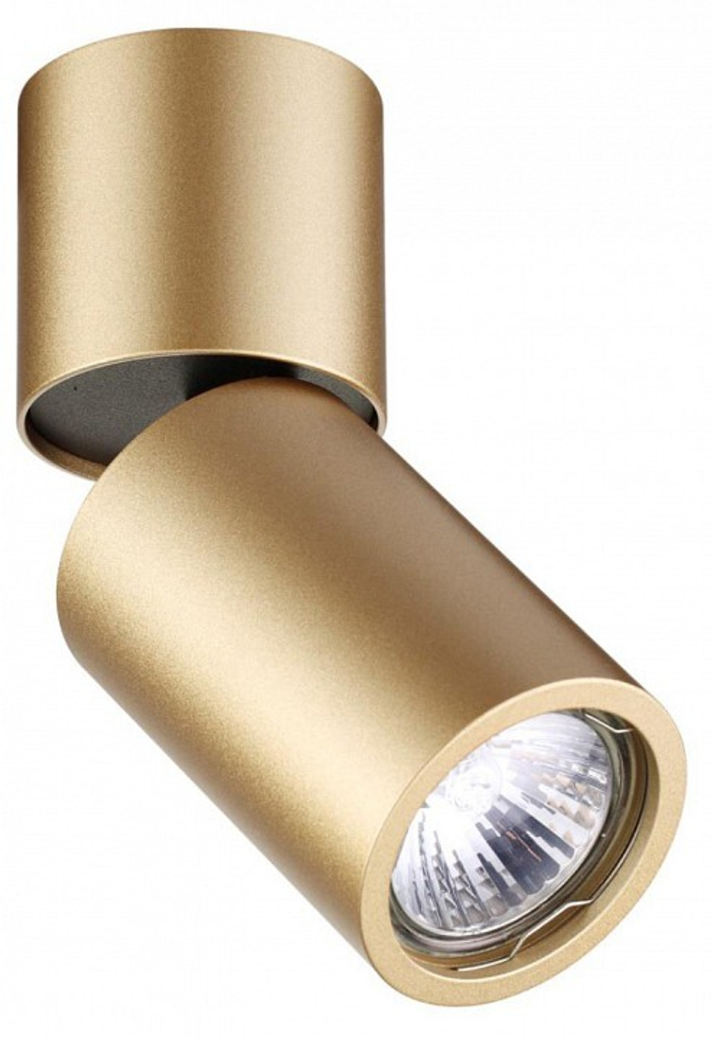 Накладной светильник Odeon Light Duetta 3895/1C