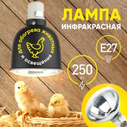 Инфракрасная лампа ЭРА ИКЗ 220-250 R127 для обогрева животных и освещения 220-250 Вт Е27 кратность 1 шт | Инфракрасные лампы
