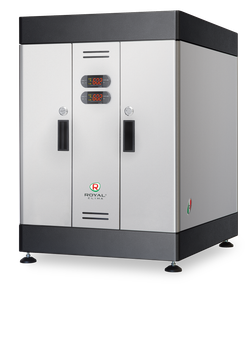 Профессиональный пароувлажнитель ROYAL Clima 400ES6MINI