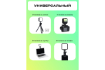 Осветитель светодиодный Raylab RL-LED06-1 3000K-7000K 1200mAh