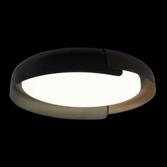 Потолочный светильник Coin 10198 Black Loft It
