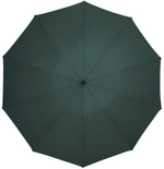 Зонт Xiaomi Zuodu Full Automatic Umbrella LED зеленый