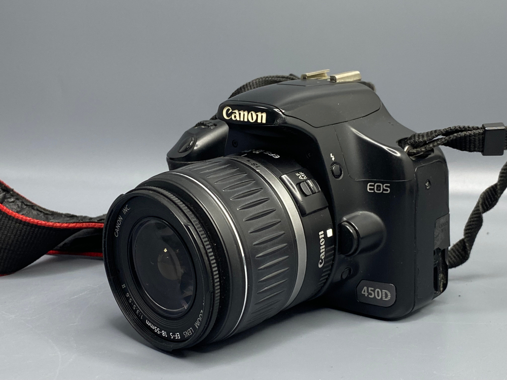Canon EOS 450D — 16500 кадров