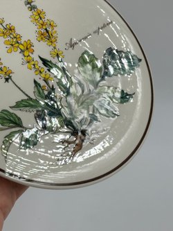 Подставка под горячее или чайник Villeroy & Boch, Botanica
