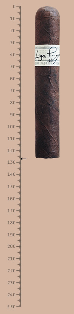 Liga Privada No.9 Robusto