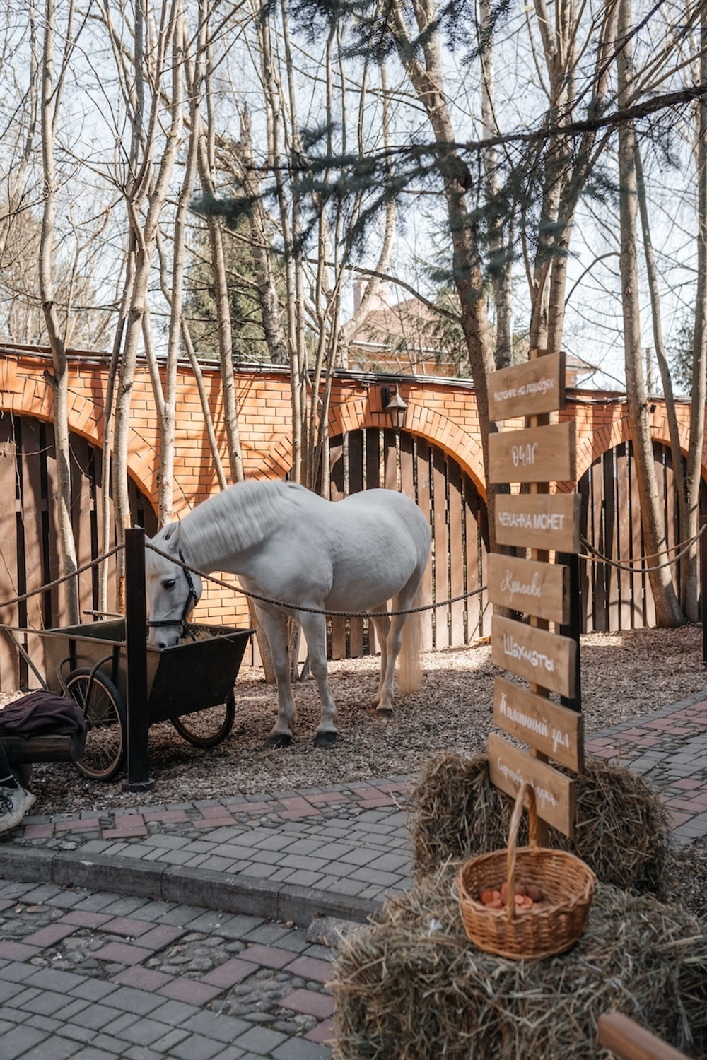 Праздник на конюшне