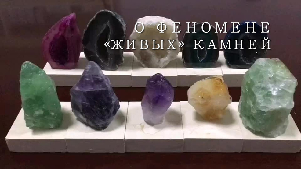 О феномене "живых" камней