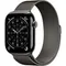 Умные часы Apple Watch Series 11 46 мм Titanium Milanese Loop Серый Slate