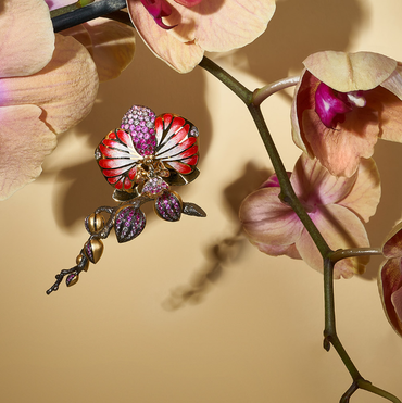 Botanic collection