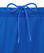 Шорты баскетбольные JÖGEL DIVISION PerFormDRY Shorts Z2, синий