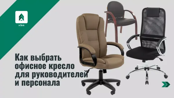 Как выбрать офисное кресло: советы по эргономике, материалам и настройкам для руководителей и персонала Как выбрать офисное кресло: советы по эргономике, материалам и настройкам для руководителей и персонала