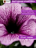 Петуния грандифлора Дэдди F1 Шугар