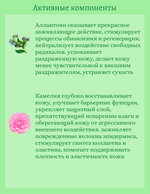 Успокаивающий тонер с центеллой азиатской 300 ml Jigott Daily Real Cica Toner