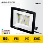 STAYER LED-MAX, 100 Вт, 6500K, IP 65, светодиодный прожектор (57131-100)