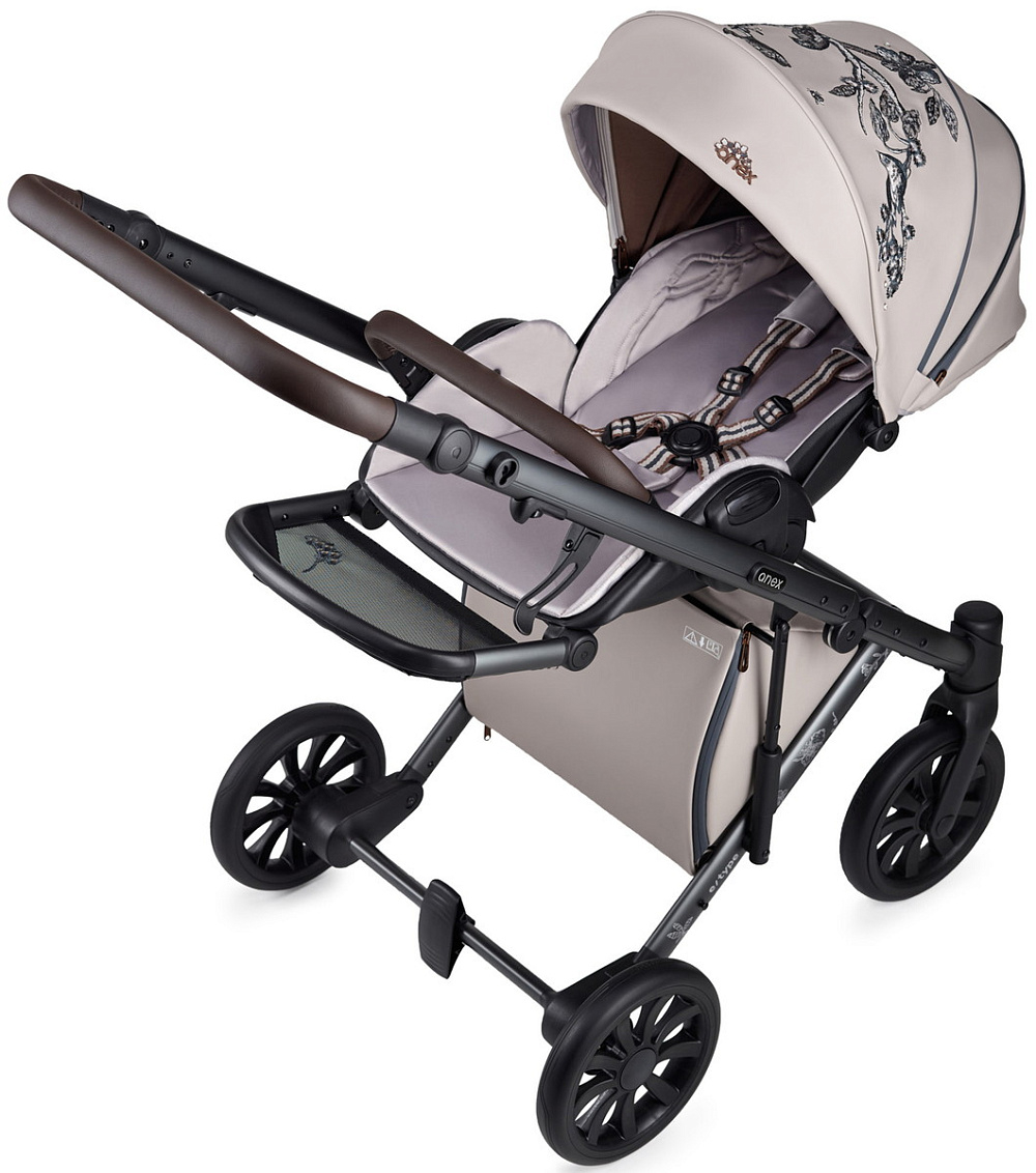 Детская коляска Anex e/type 3 в 1 eden