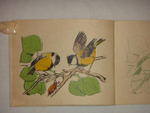 "Книжка раскраска". . 1940г.