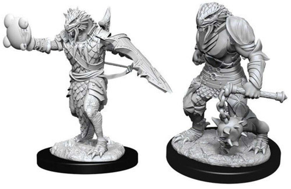 D&amp;D Nolzur's Marvelous Miniatures - Male Dragonborn Paladin