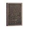 Paperblanks notebook Celebrating Charlie Chaplin Midi size Lined