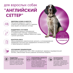 Корм сухой для взрослых собак породы Английский сеттер, премиум полнорационный комплекс, с говядиной, 12 кг, QUATTRO