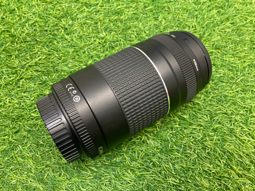 Canon EF 75-300mm 4-5.6 III