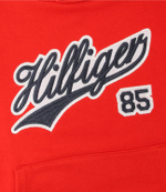 Худые Tommy Hilfiger - красный(KB0KB08718)
