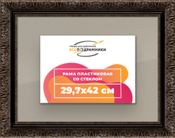Рамка 29,7x42 для постера и фотографий