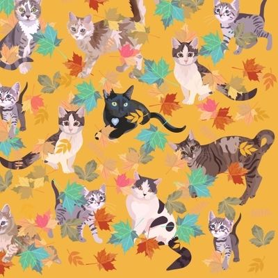 Осенние коты
