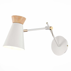 Светильник настенный ST Luce Alfeo SLE1252-501-01