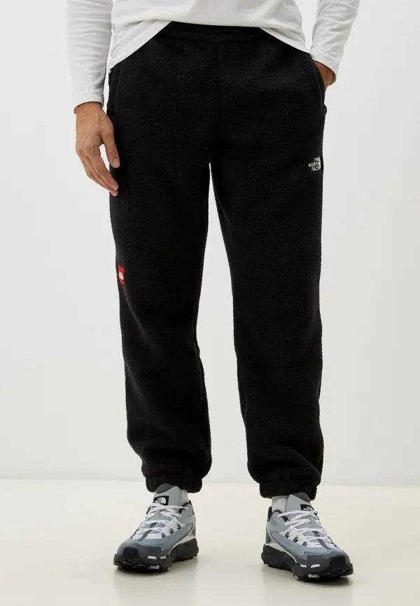Брюки спортивные мужские THE NORTH FACE M TNF FLEESKI PANT