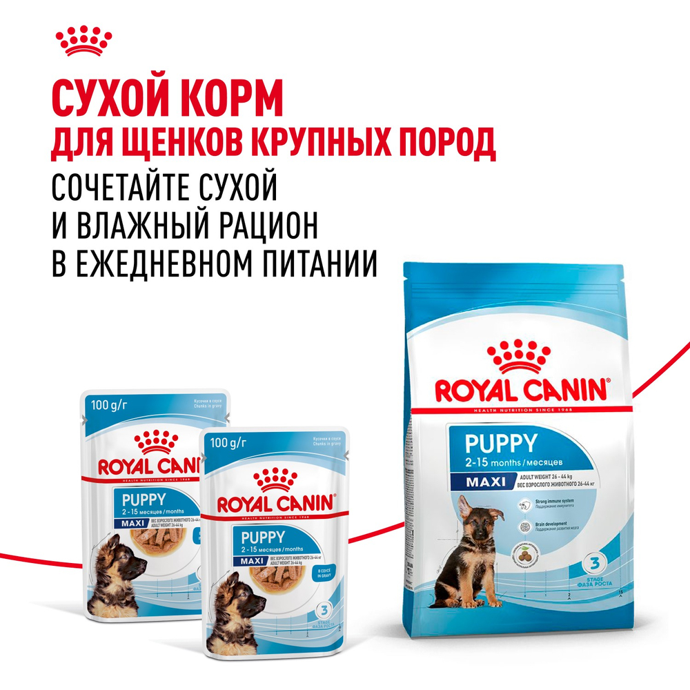 Royal Canin Maxi Puppy Макси Паппи Влажный корм для щенков крупных пород в возрасте до 15 месяцев 100г