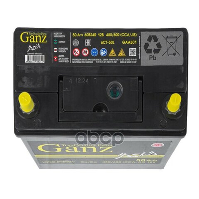 Аккумулятор GANZ PRO-Line JIS 50 А/ч прямой L+ 238x129x225 B24 EN 480 А