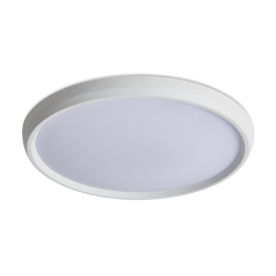 Потолочный светильник Freya FR6211CL-L24W