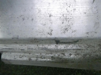 DSCN5530.JPG