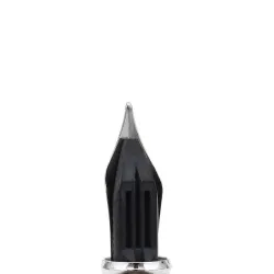 Перьевая ручка Diplomat Magnum Crow черная с пером F (D40902023) 8