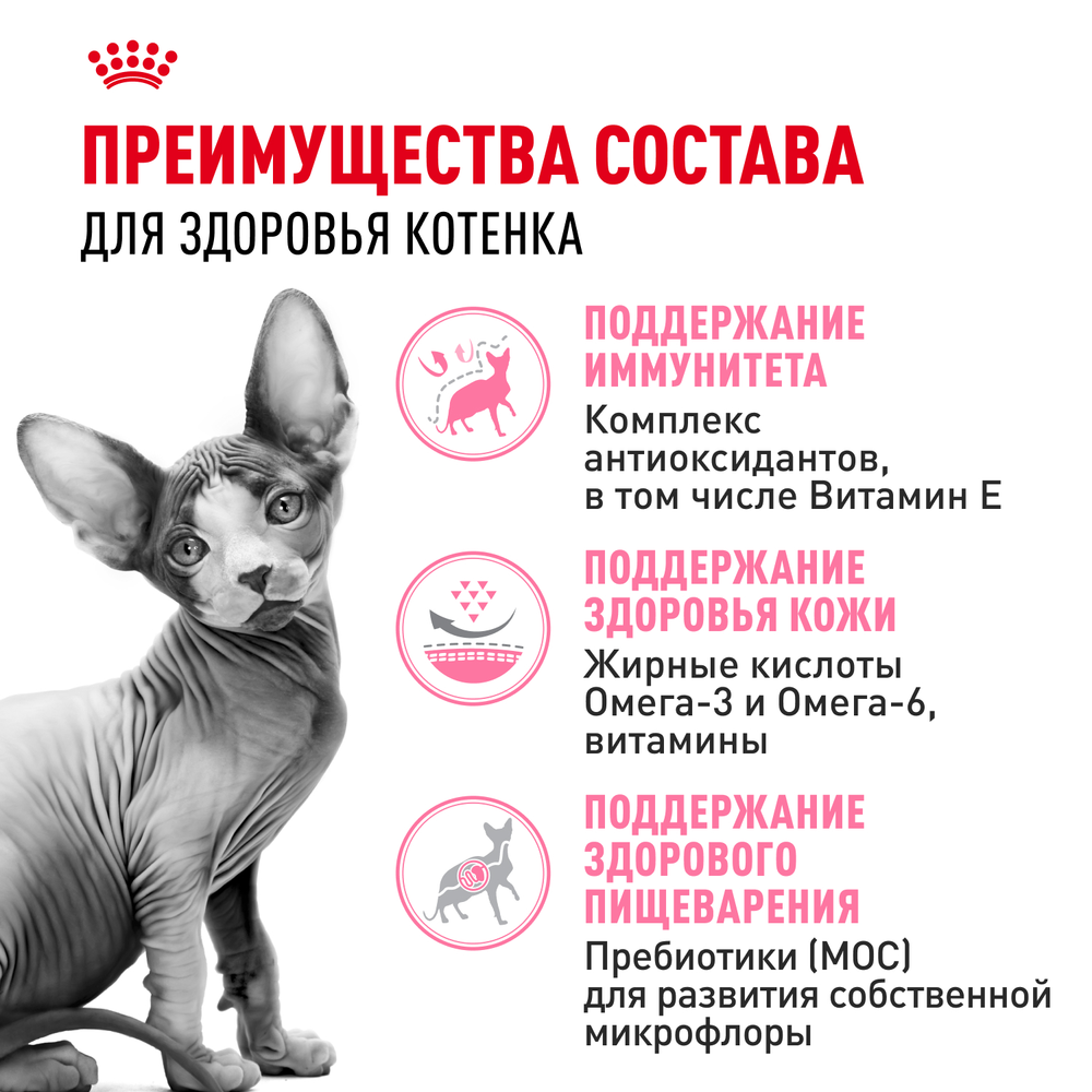 Royal Canin Sphynx Kitten Киттен Сфинкс Корм сухой для котят породы Сфинкс в возрасте от 4 до 12 месяцев 400г