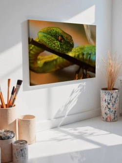 Картина на стену 40 X 50 Змея