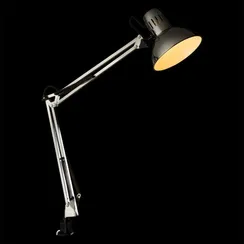 Офисная настольная лампа Senior A6068LT-1SS Arte Lamp