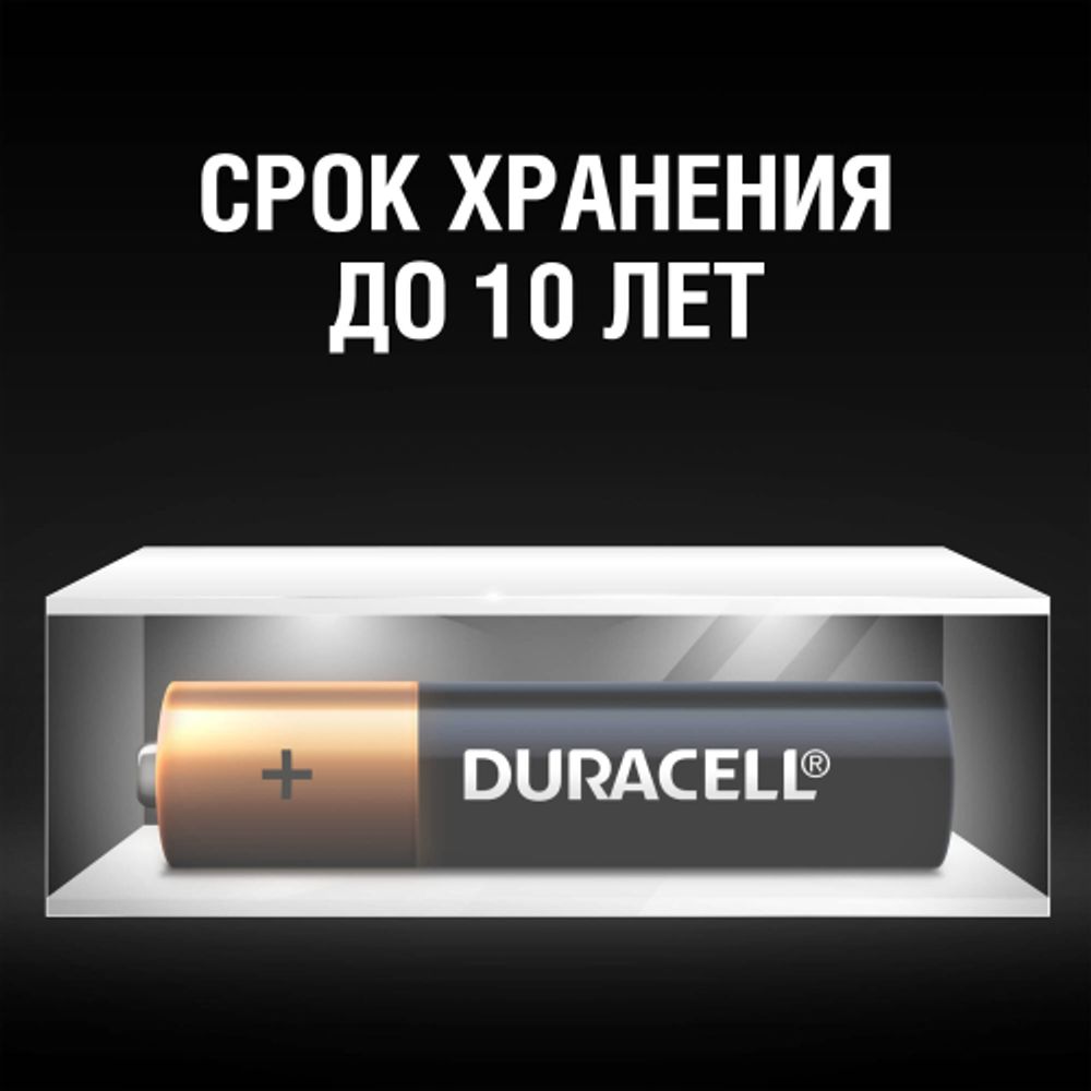 Батарейки Duracell 5006609 LR03-2BL BASIC NEW | Duracell